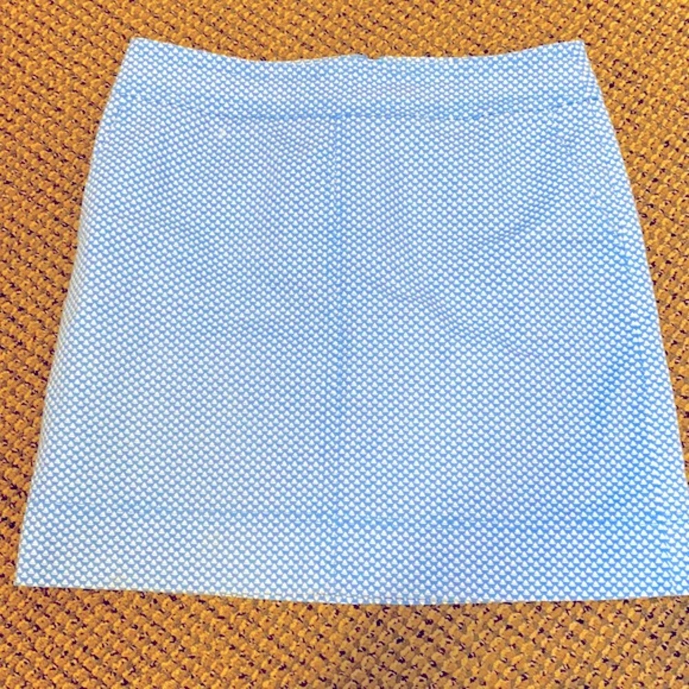 NWOT Women’s Talbots Sailboat Print Lined Skirt 10